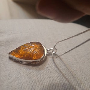 Susana added a photo of their purchase