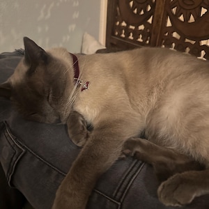 Lindsay ha añadido una foto de su compra