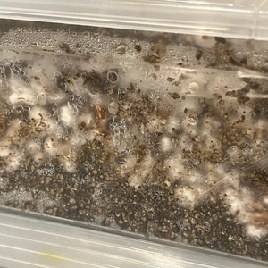 Neal added a photo of their purchase