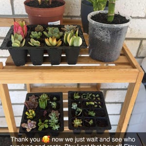Inactive account added a photo of their purchase