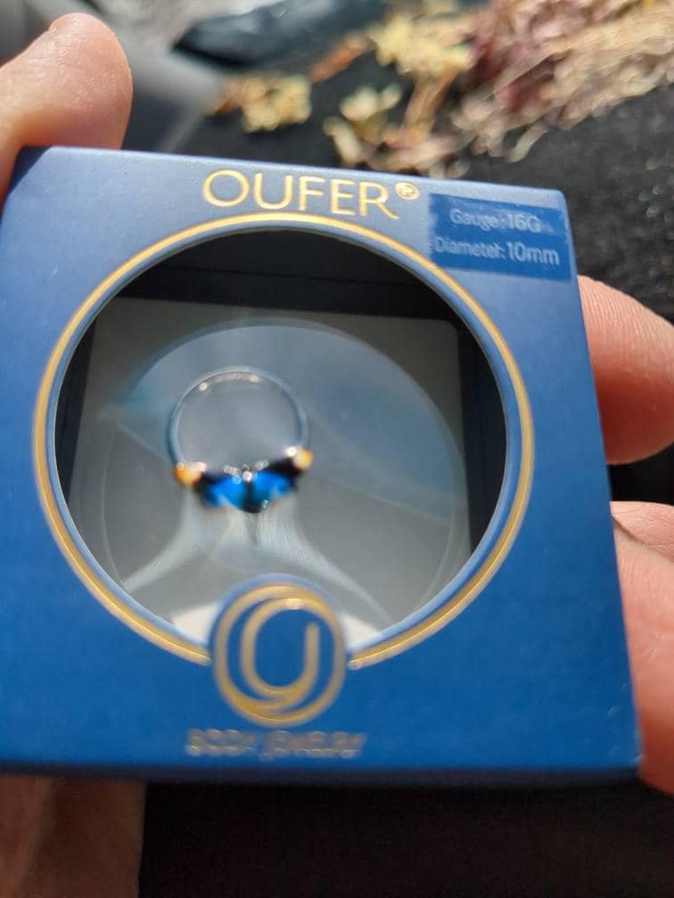 16G Blue/Yellow Moth Hinged Segment Septum Ring/Septum Clicker/Cartilage Hoop/Daith Earring/Helix/Conch/Tragus Hoop/Wings Jewelry Halloween