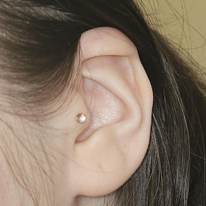 Audrey added a photo of their purchase