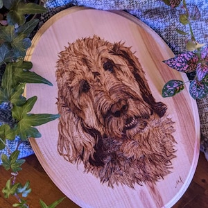 Kyle added a photo of their purchase