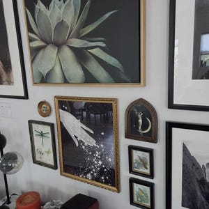 Elizabeth added a photo of their purchase