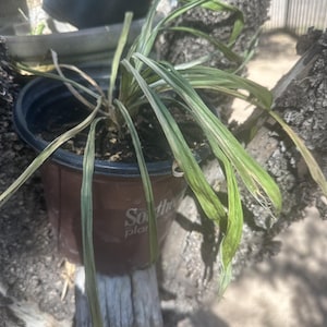 Francisco added a photo of their purchase