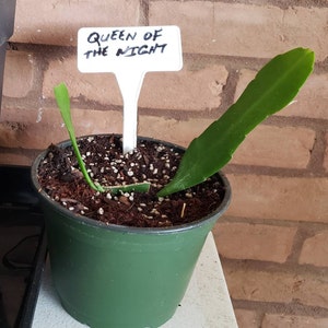 Clifford added a photo of their purchase
