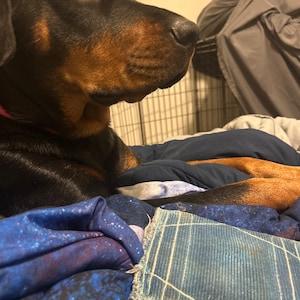 Michelle ha añadido una foto de su compra