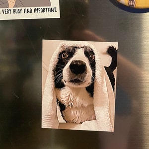 Katie added a photo of their purchase