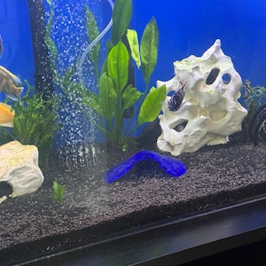 Tara added a photo of their purchase