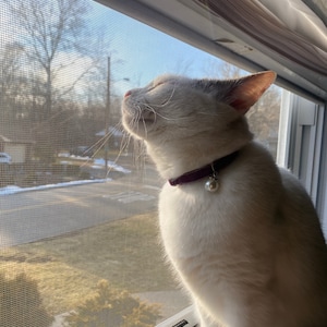 Honey added a photo of their purchase