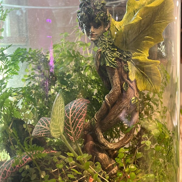 Fantasy Figurine Fairy Tree Elf Unique Decor Indoor Dryad Fairy ...