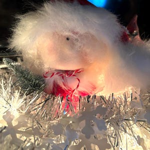 Shawn ha añadido una foto de su compra