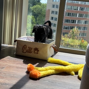 Megan a ajouté une photo de son achat