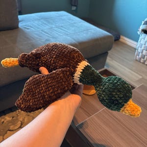 Emily added a photo of their purchase