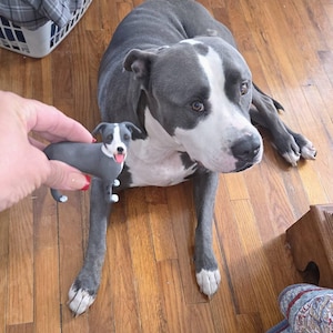 Tracy added a photo of their purchase