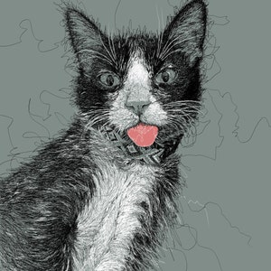 T. added a photo of their purchase