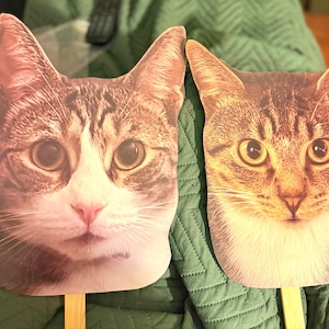 Sarah added a photo of their purchase