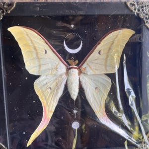 Lucia added a photo of their purchase
