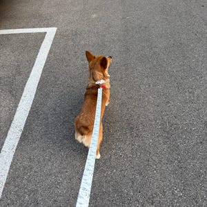 Kayla ha añadido una foto de su compra
