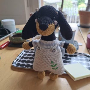 Manuel hat ein Foto des gekauften Artikels hinzugefügt