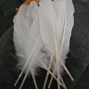 Angie added a photo of their purchase