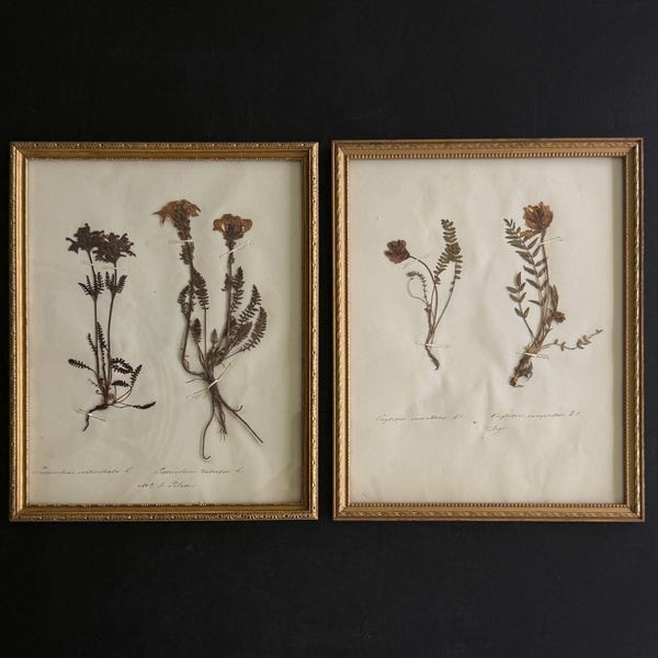 KALMAR Designs Teak Wood Wine Rack Mid Century Bottle Storage Vintage 4 ...