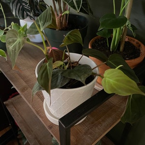 Kerri added a photo of their purchase