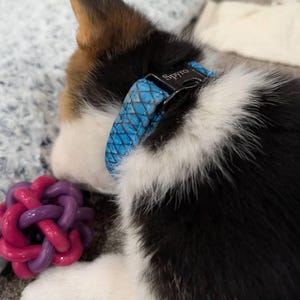 Sara added a photo of their purchase
