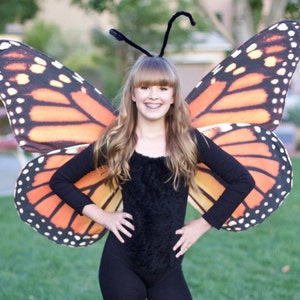 swallowtail