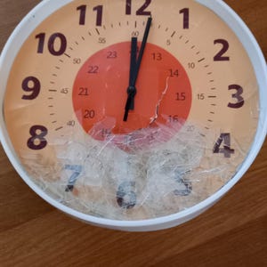 René hat ein Foto des gekauften Artikels hinzugefügt