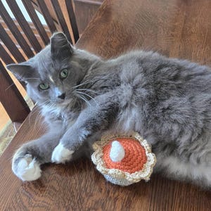 Kim added a photo of their purchase