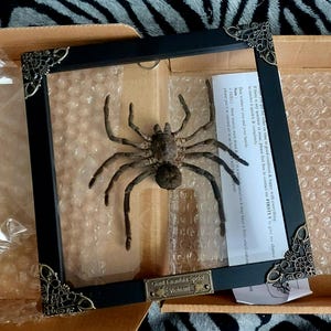 Crystal added a photo of their purchase