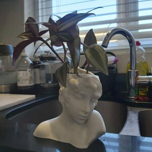 Nuri added a photo of their purchase