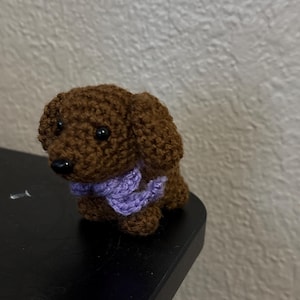 Alejandra added a photo of their purchase