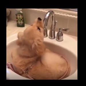 Vadym added a photo of their purchase