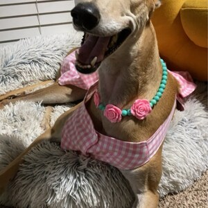 Maisey ha añadido una foto de su compra