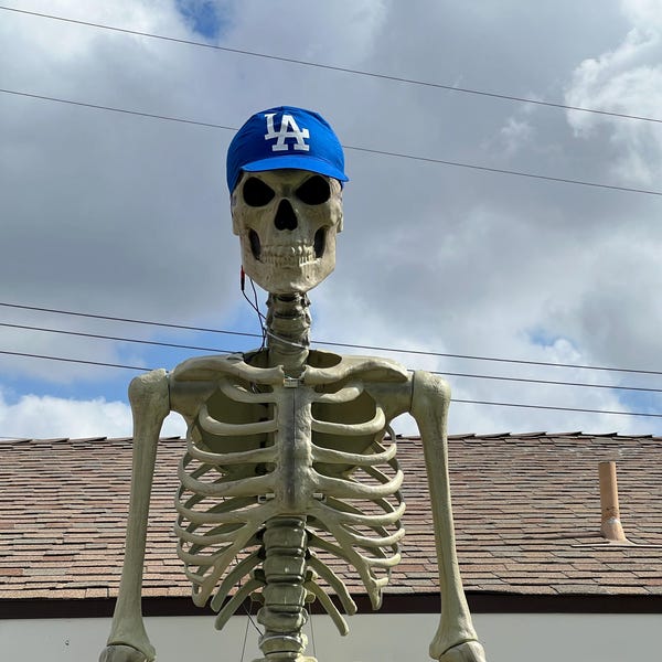 Skeleton Pirate Buccaneer Costume