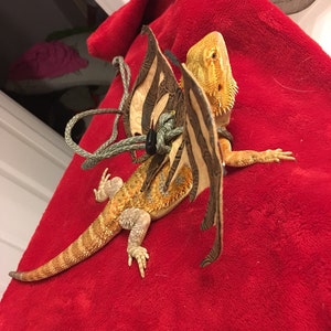 Jacqueline added a photo of their purchase