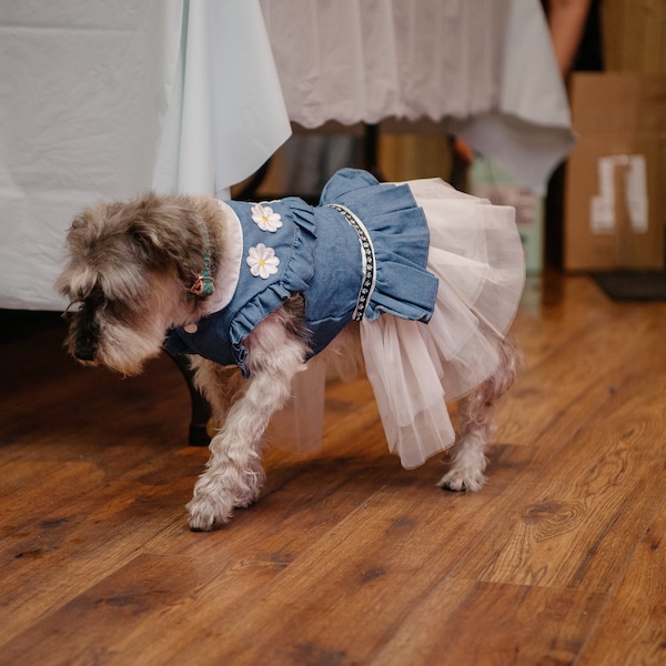 Dog Birthday Dress Dog Birthday Dress Shop Dog Gown Outlet Dog Wedding  Dress Pink