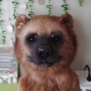 beetlestein added a photo of their purchase
