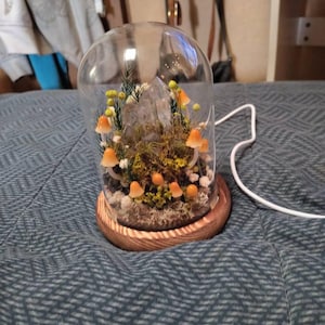 Shannon added a photo of their purchase
