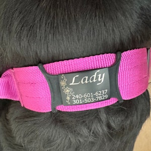 April added a photo of their purchase