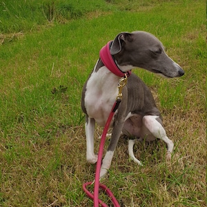 Jane added a photo of their purchase