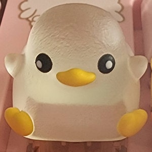 Bri adicionaram uma foto da sua compra
