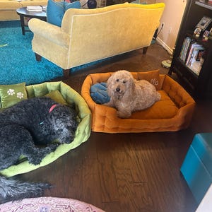 Debbie added a photo of their purchase