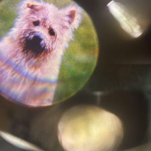 Catherine added a photo of their purchase