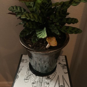 jenna added a photo of their purchase