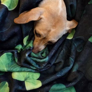 Gwen added a photo of their purchase