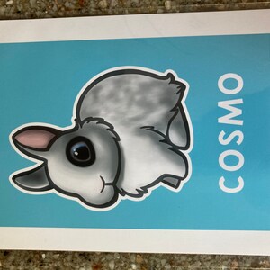 Single Bunny Print - Existing Rabbit Breed and Color - Custom ...