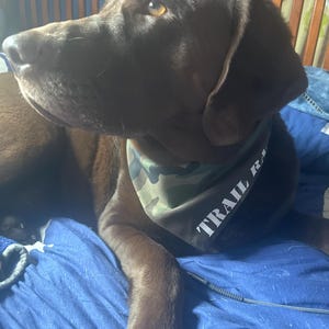 Kelly added a photo of their purchase